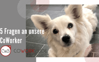 5 Fragen an unsere CoWorker – Coco Jansen